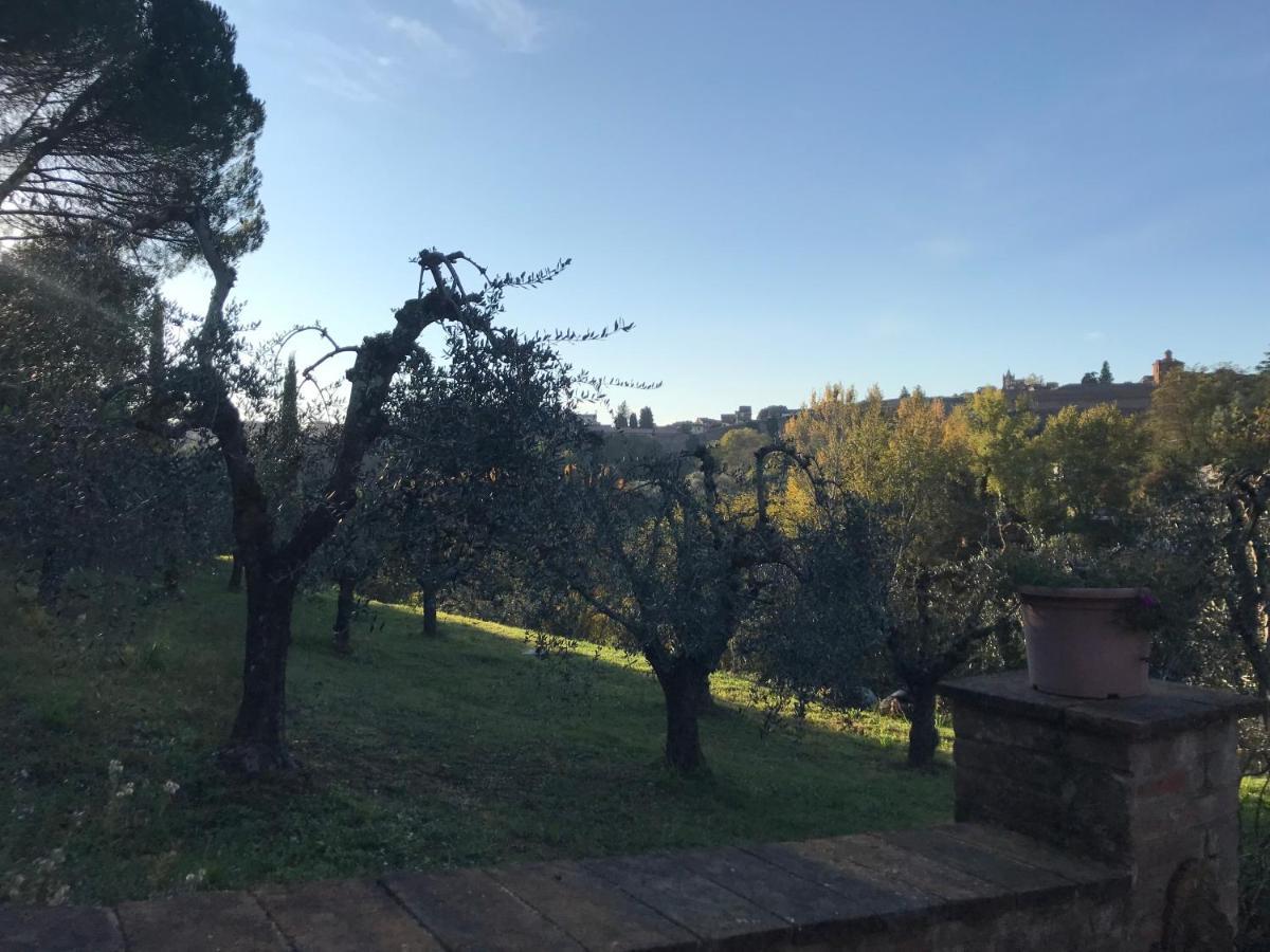 La Perla Tra Gli Ulivi Apartment เซียนา ภายนอก รูปภาพ
