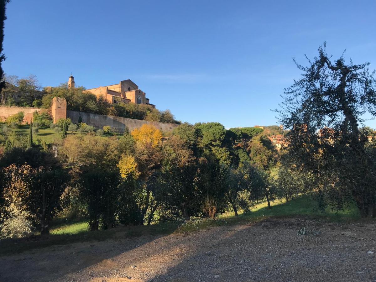 La Perla Tra Gli Ulivi Apartment เซียนา ภายนอก รูปภาพ