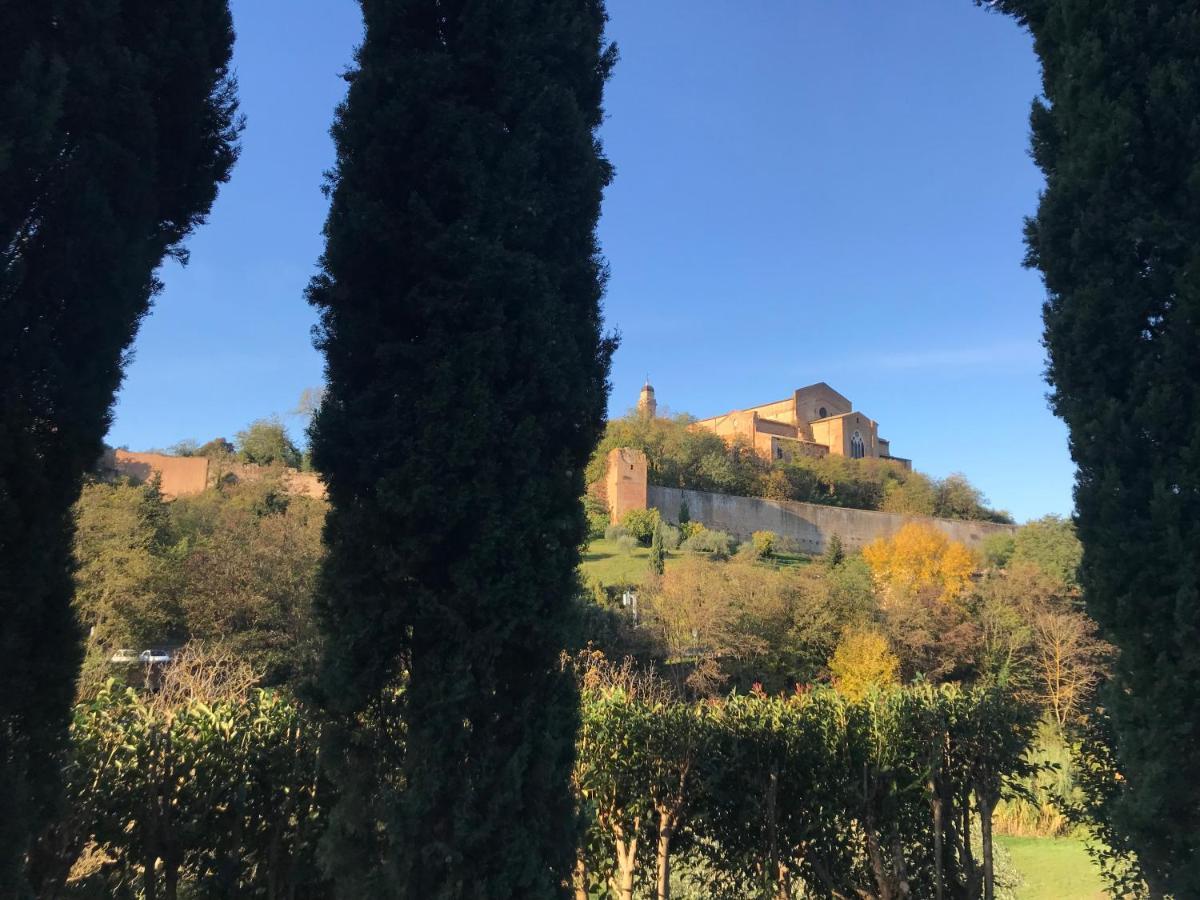 La Perla Tra Gli Ulivi Apartment เซียนา ภายนอก รูปภาพ